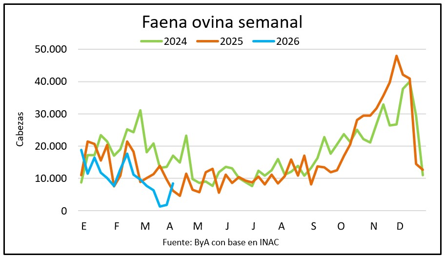 Repuntó la faena ovina y fue la más alta en cinco semanas