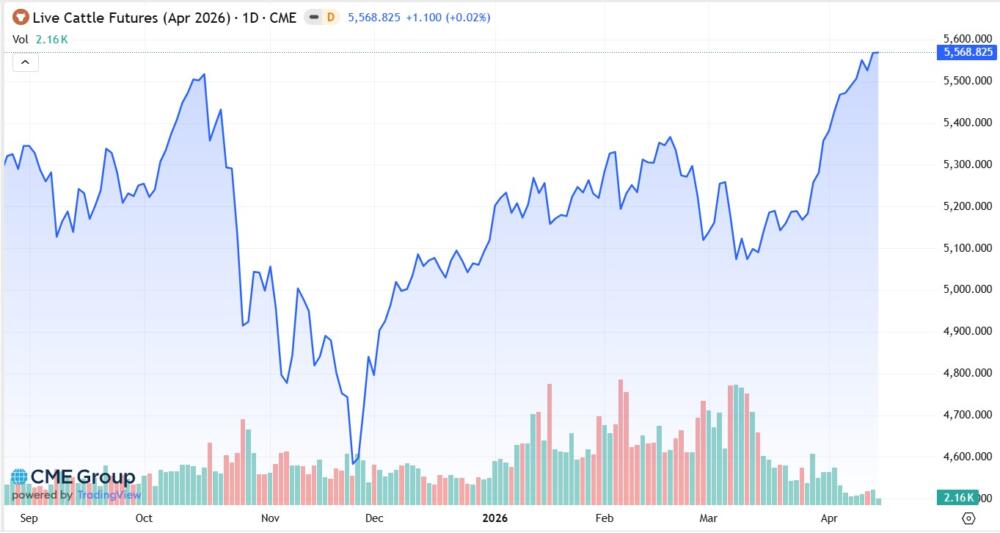 Precio del novillo en EEUU alcanza nuevo récord impulsado por la demanda de verano