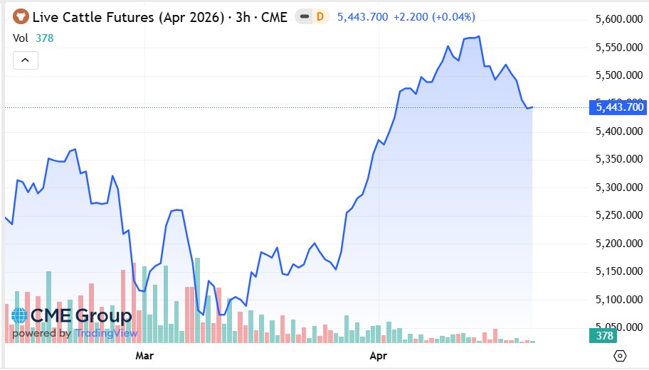 Ajuste para el ganado en EEUU desde precios récord