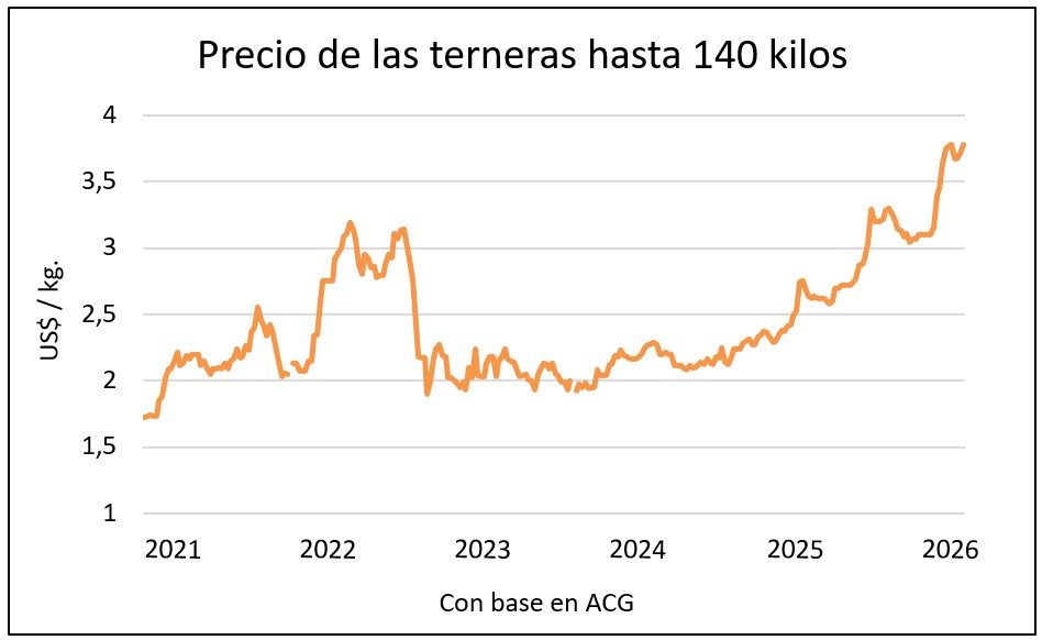 Las terneras no dejan de subir y buscan paridad con el ternero