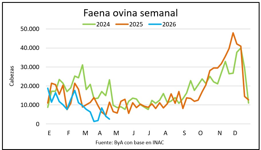 Faena ovina no llegó a 20 mil cabezas en abril y fue la más baja en una década