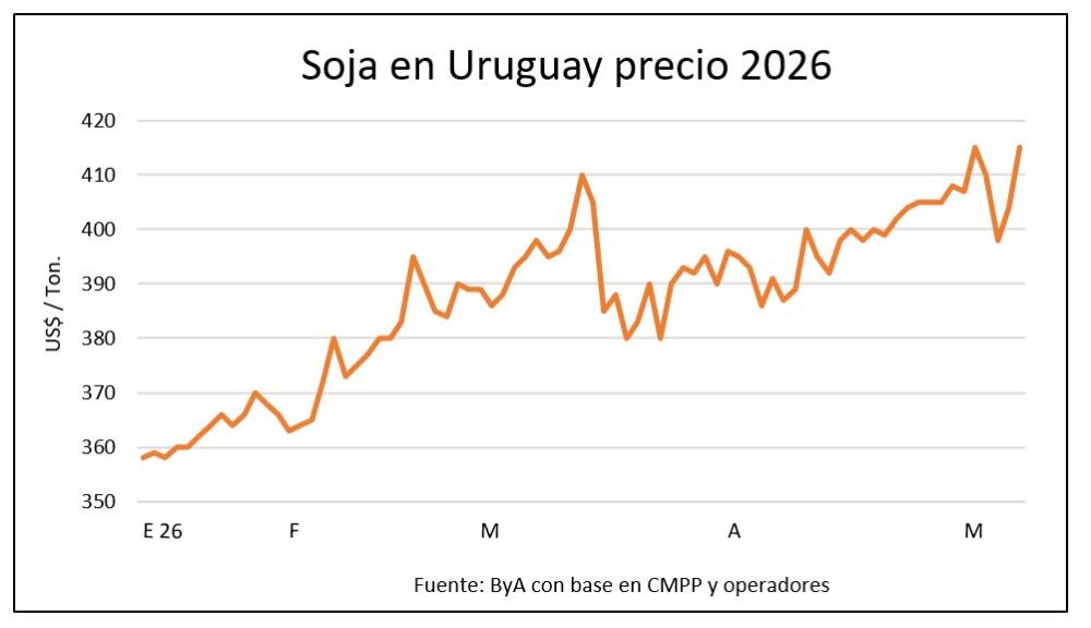 Las oleaginosas rebotan y el maíz acompaña