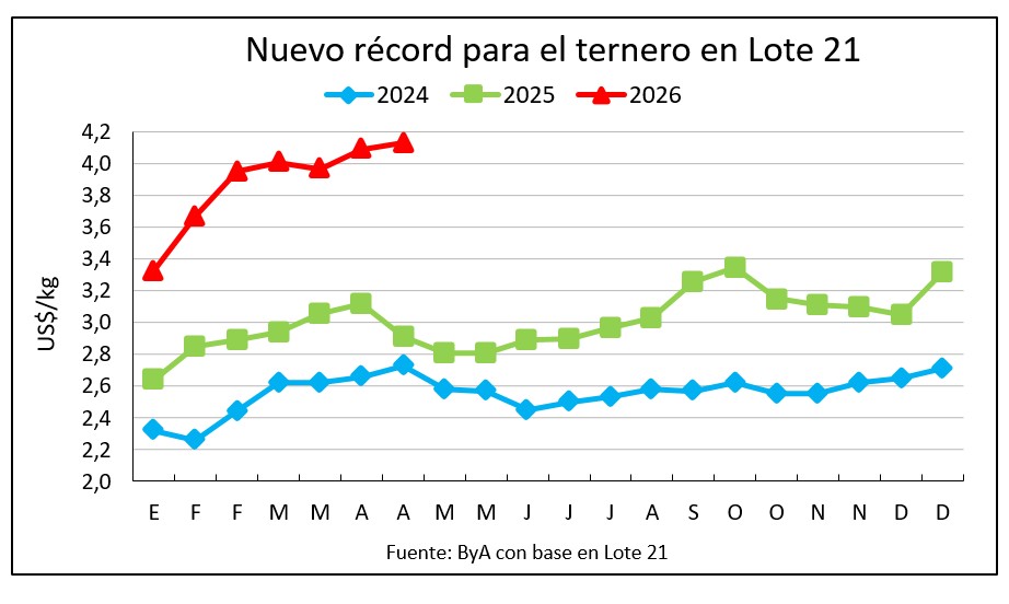 Subas generalizadas en Lote 21 con destaque para novillos, vacas preñadas y terneros
