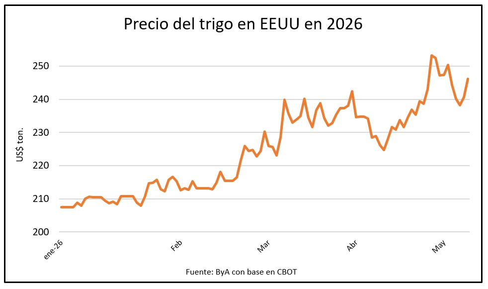 El estado del trigo empeora en EEUU y el precio tiene margen para nuevas subas