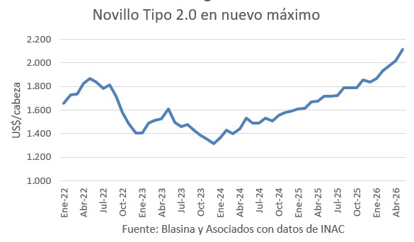 El Novillo Tipo no para de marcar récords