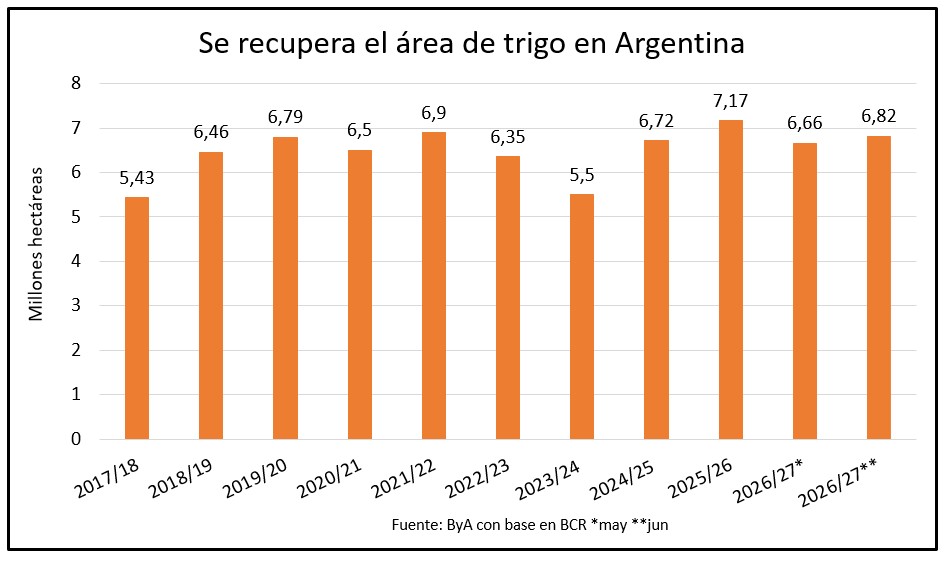 Más granos en Argentina: sube el área de trigo y la producción de soja