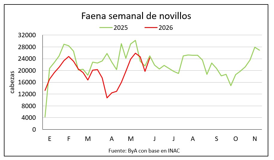 La faena fue superior a la misma semana de 2024 y 2025 por primera vez en seis meses
