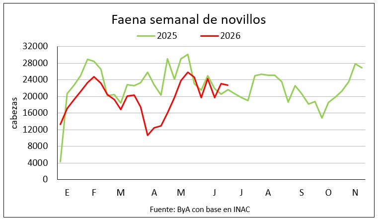 Junio se encamina a ser el mes de mayor faena en el año