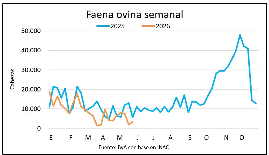 La faena de ovinos creció pero sigue siendo muy limitada
