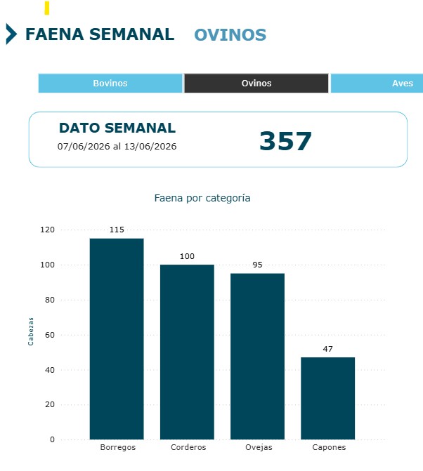 Faena de ovinos históricamente baja con solo 357 cabezas
