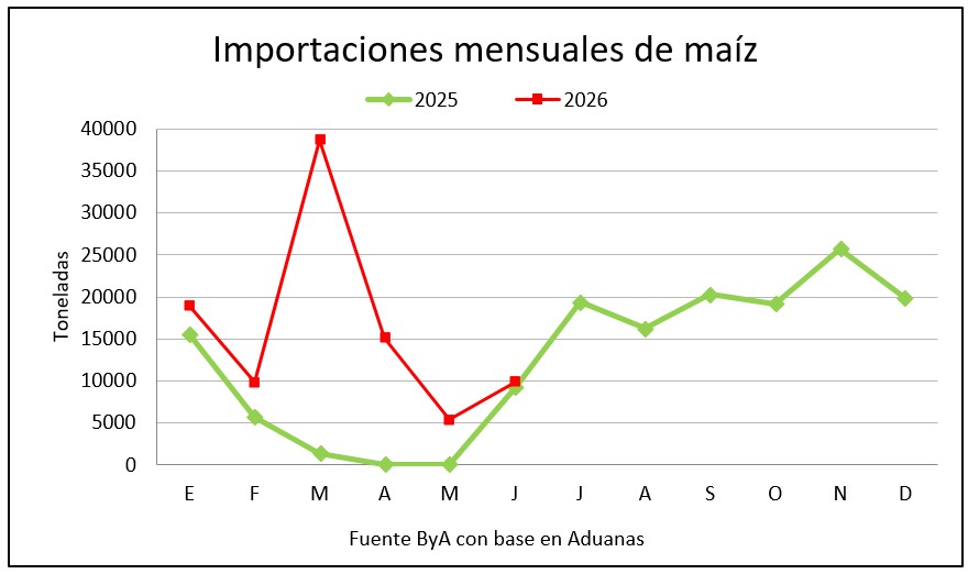 Uruguay importa el triple de maíz que el año pasado