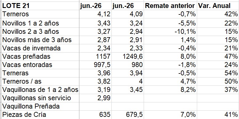 Terneros estables, vientres muy firmes y ajuste para los novillos en Lote 21