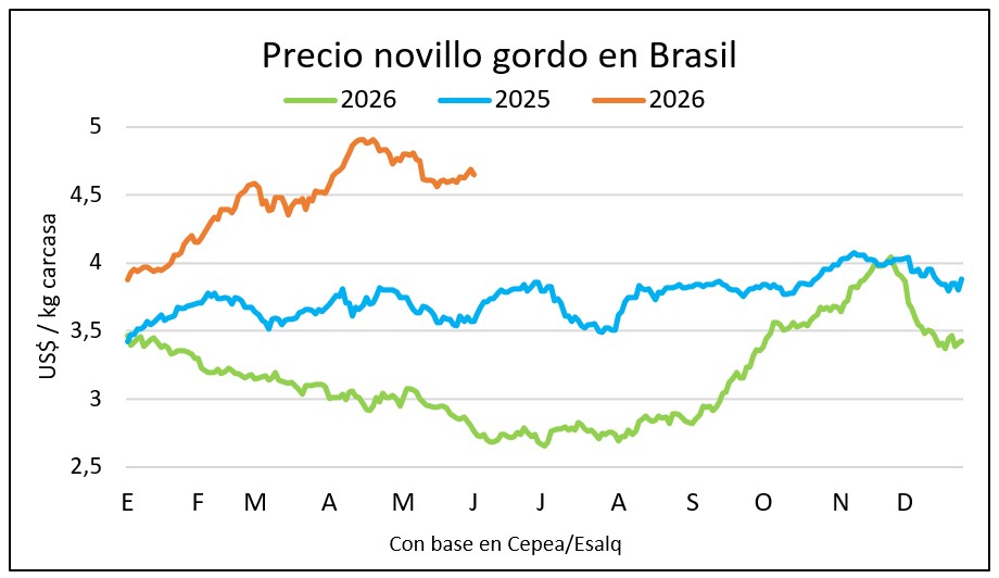 El precio del gordo se recupera en Brasil ante una menor oferta de ganado de pasto
