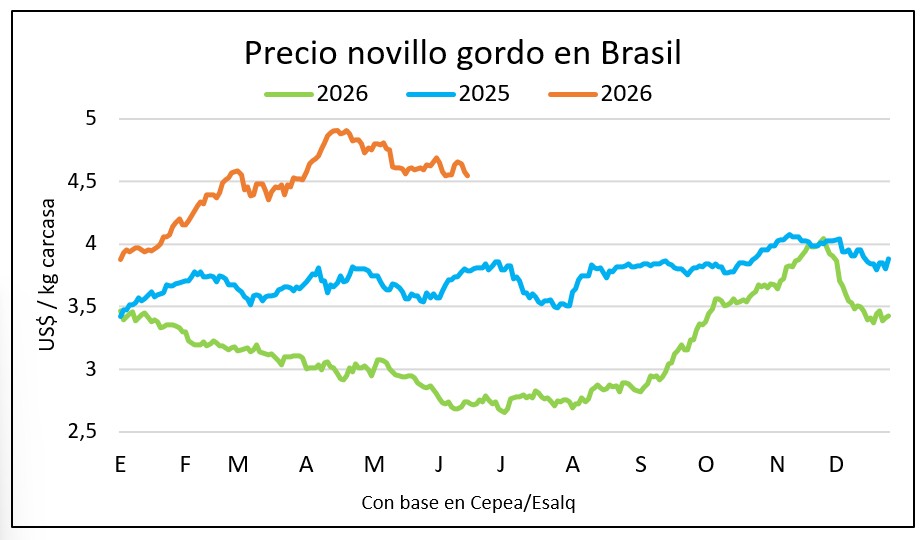 Cumplimiento de cupo en China presiona los precios del gordo en Brasil