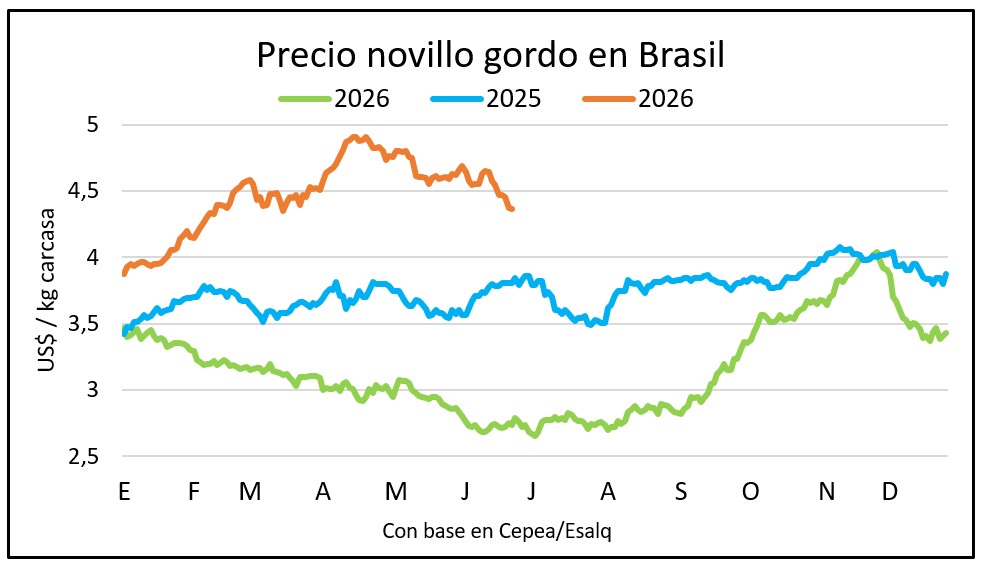 Cae a mínimos de tres meses el precio del novillo en Brasil