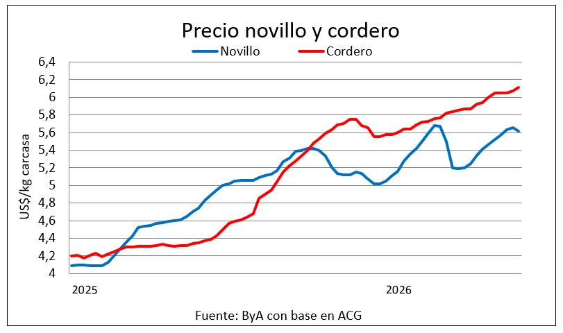 Mercado del gordo con ajuste tras 9 semanas y el cordero superando los US$ 6,10