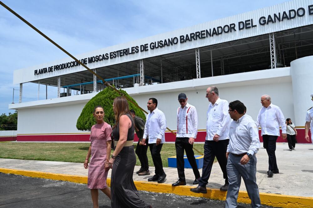 Bichera en México y EEUU: nueva planta duplica producción de moscas estériles