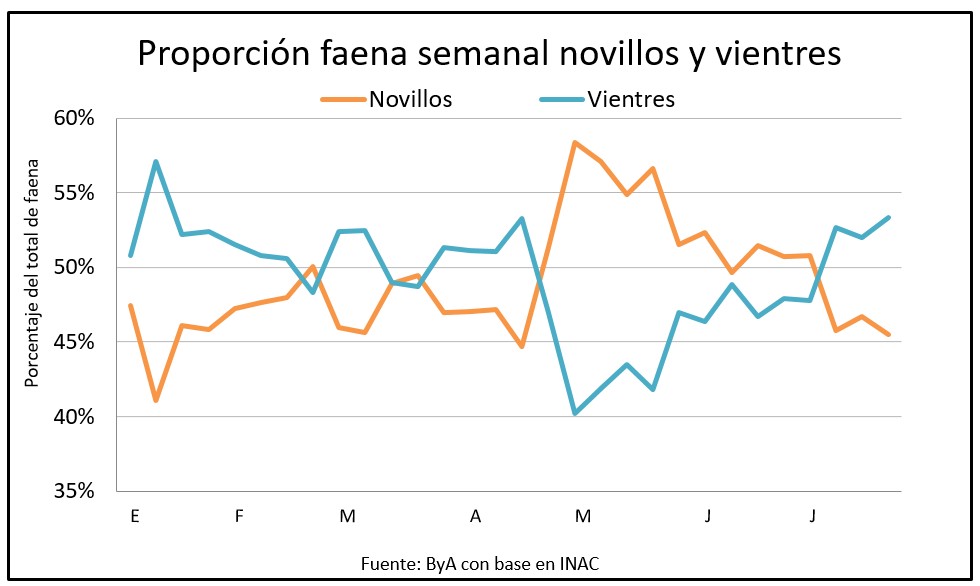 Aumentan las vaquillonas pero la faena cae por debajo de 40 mil cabezas