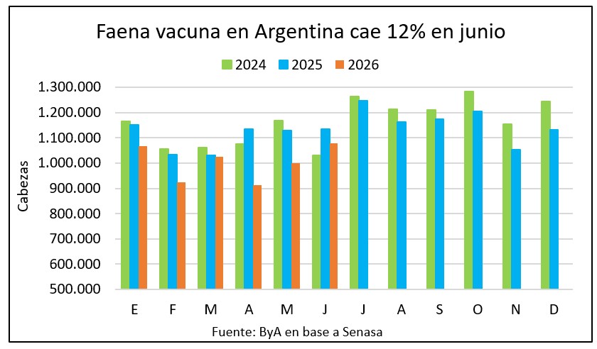 Argentina tuvo la menor faena en 10 años en el primer semestre