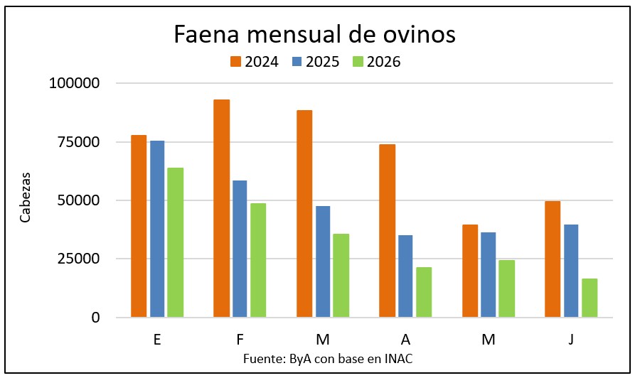 Faena ovina en junio fue la más baja en 10 años