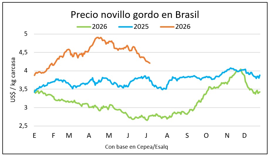 Sigue bajando el precio del novillo en Brasil y las exportaciones de junio marcan otro récord