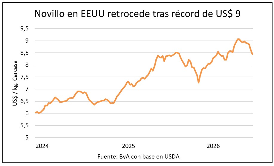 Novillo en EEUU baja 10% en 5 semanas y toca mínimos en 2026