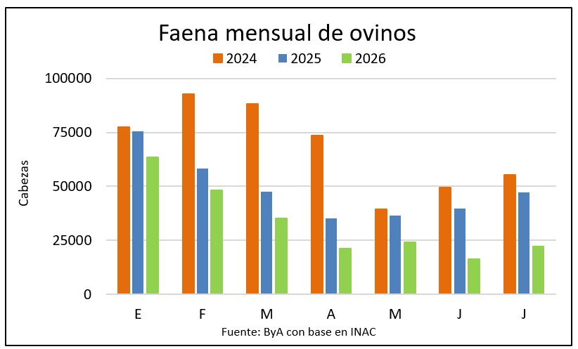 Faena ovina cayó a menos de la mitad en julio y cerró con una semana casi inactiva