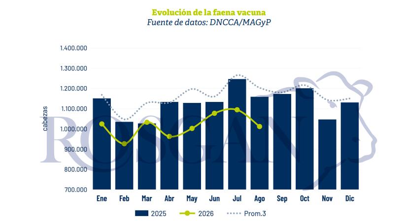 Menor disponibilidad de hacienda presiona a la industria frigorífica argentina
