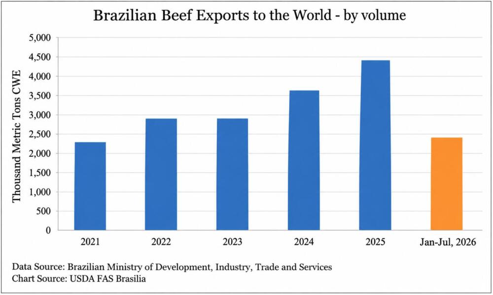 ¿Qué impacto tendrá en Brasil la suspensión de sus exportaciones de carne vacuna a la UE? Esto dice el USDA