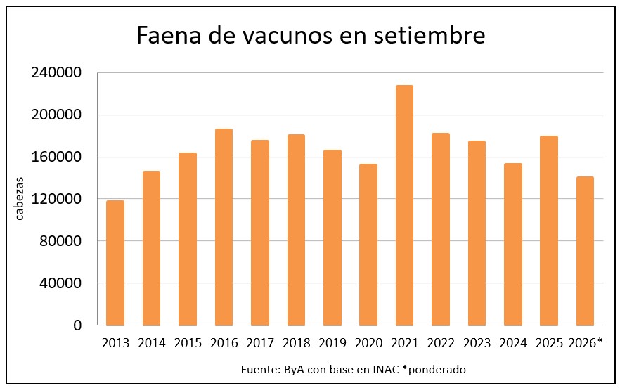Faena vacuna de setiembre será la más baja desde 2013