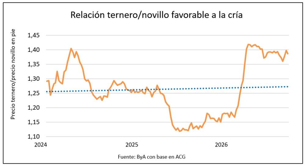 La relación flaco/gordo es la más alta para setiembre desde 2023