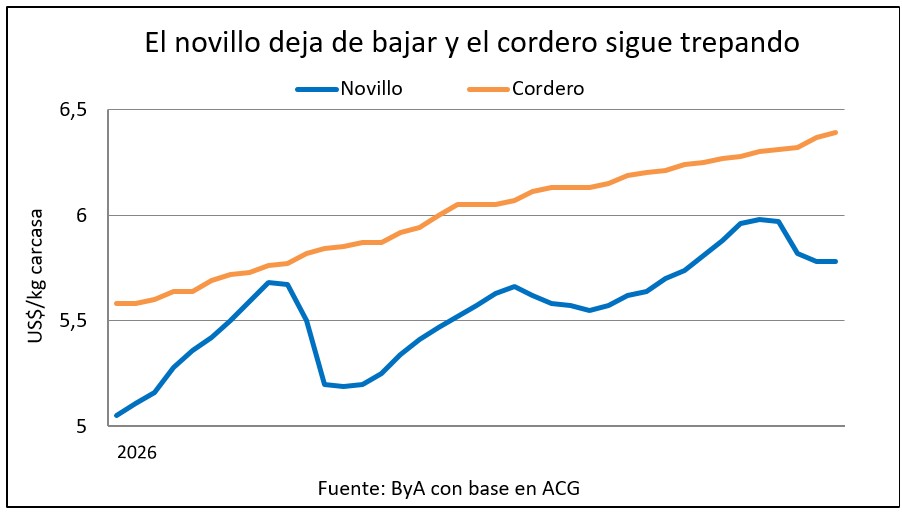 Mercado del gordo con señales de haber llegado a un piso