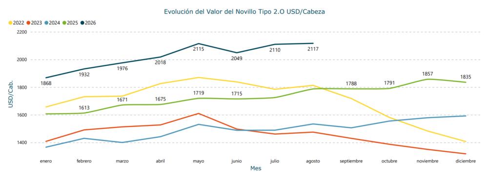 Novillo Tipo alcanzó nuevo máximo histórico