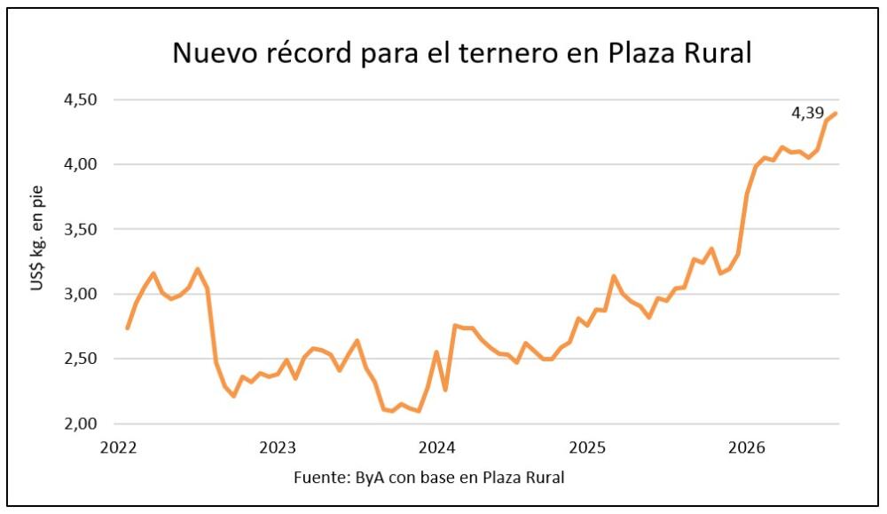 Plaza Rural: el ternero volvió a trepar y la invernada baja un escalón