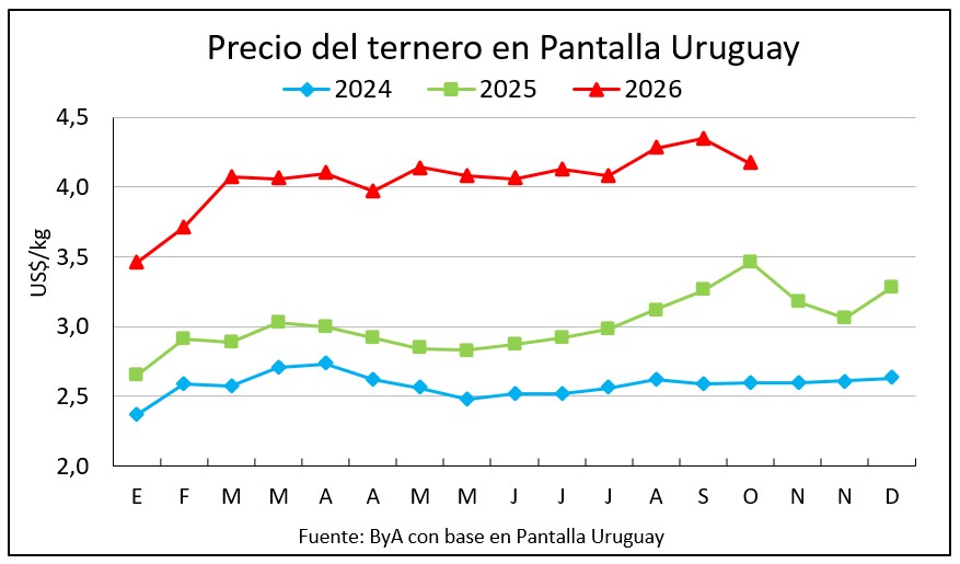 Récords en novillos, ajuste en terneros y estabilidad para terneras en remate 25 aniversario de Pantalla Uruguay