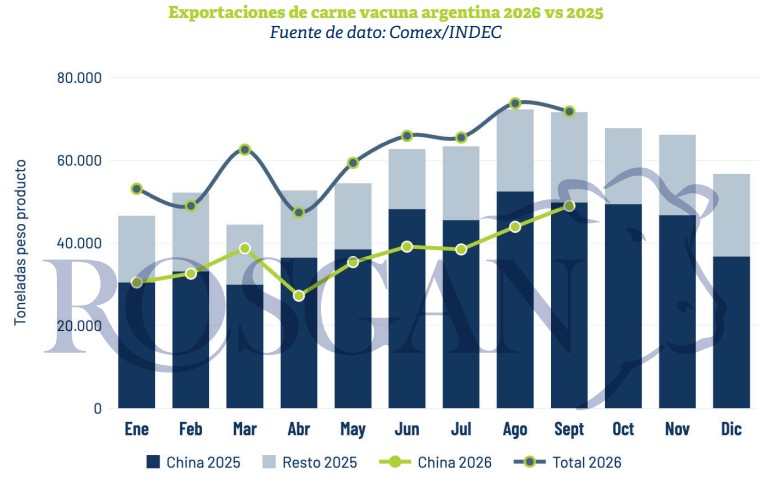 Argentina: exportación de carne a China cae 8% y no completará la cuota