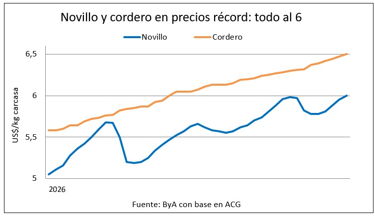 Mercado del gordo sube otro escalón con señales de estabilización