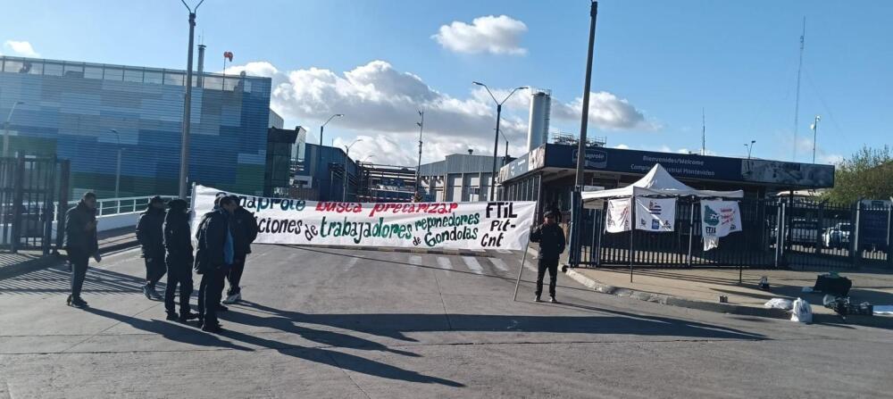 Conflicto en la industria láctea se profundiza, con medidas que podrían afectar la recepción de leche